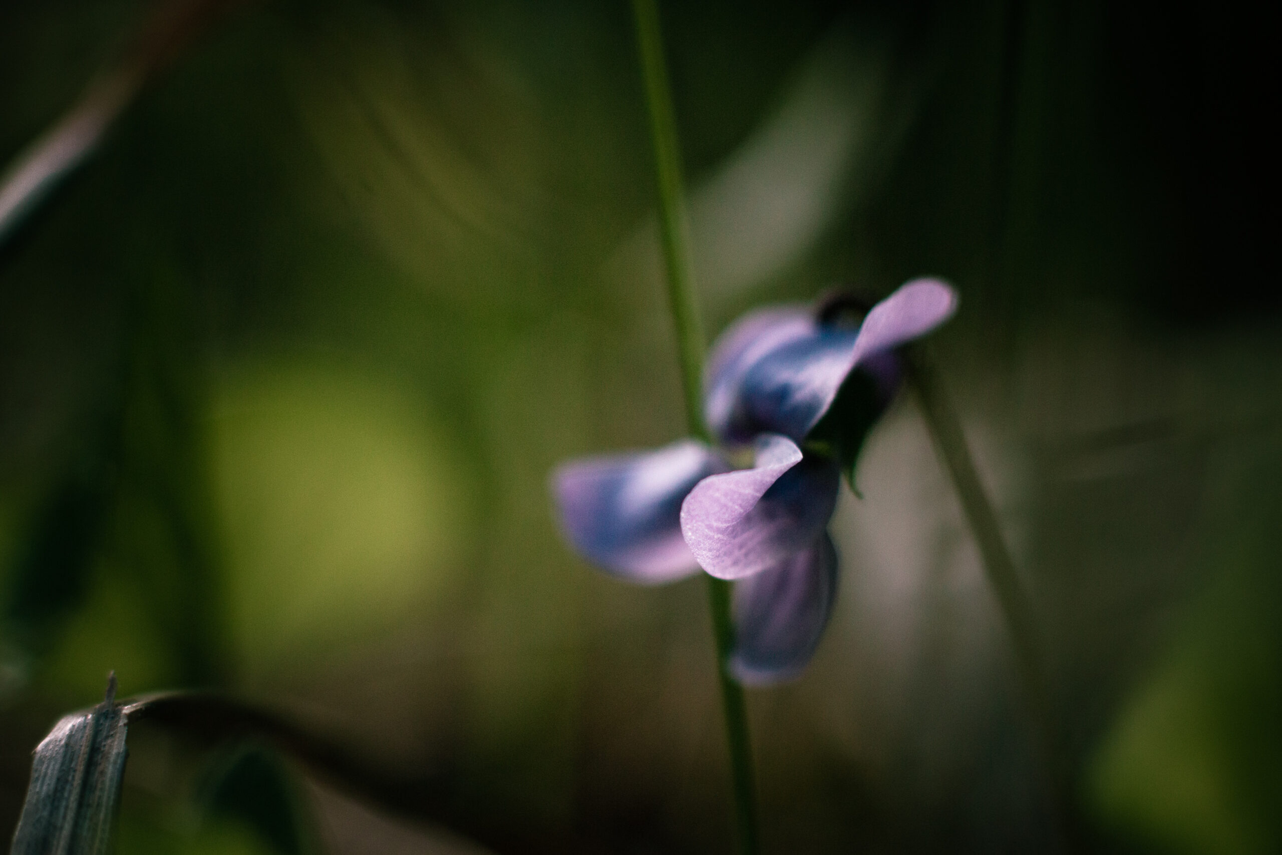 Hiljaisuuden voima -kurssi